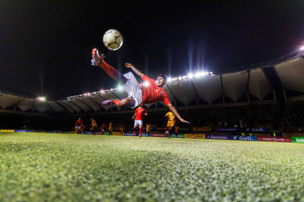 波尔图奠定 波尔图奠定