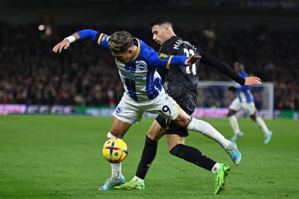 活动期间 活动期间